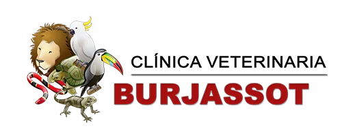 Logotipo de Clínica Veterinaria Burjassot