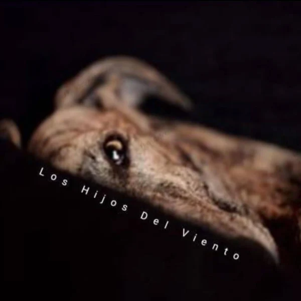 Logotipo de Los Hijos del Viento